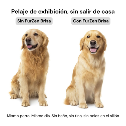FurZen Brisa